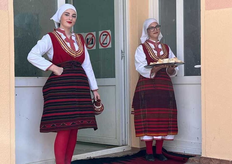 Во Штука отворена Школа за изучување на традиционални македонски музички инструменти