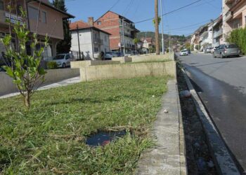 Повторно се крадат посадените дрвца од покриениот порој „Крушевска Република“, се крадат и капаците на шахтите