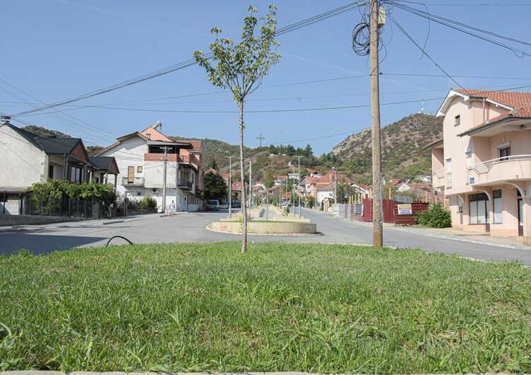 Повторно се крадат посадените дрвца од покриениот порој „Крушевска Република“, се крадат и капаците на шахтите