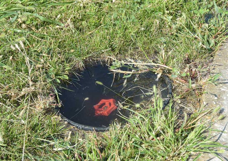 Повторно се крадат посадените дрвца од покриениот порој „Крушевска Република“, се крадат и капаците на шахтите