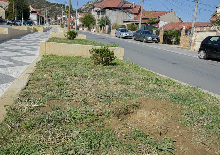 Повторно се крадат посадените дрвца од покриениот порој „Крушевска Република“, се крадат и капаците на шахтите