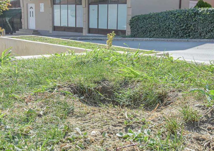 Повторно се крадат посадените дрвца од покриениот порој „Крушевска Република“, се крадат и капаците на шахтите