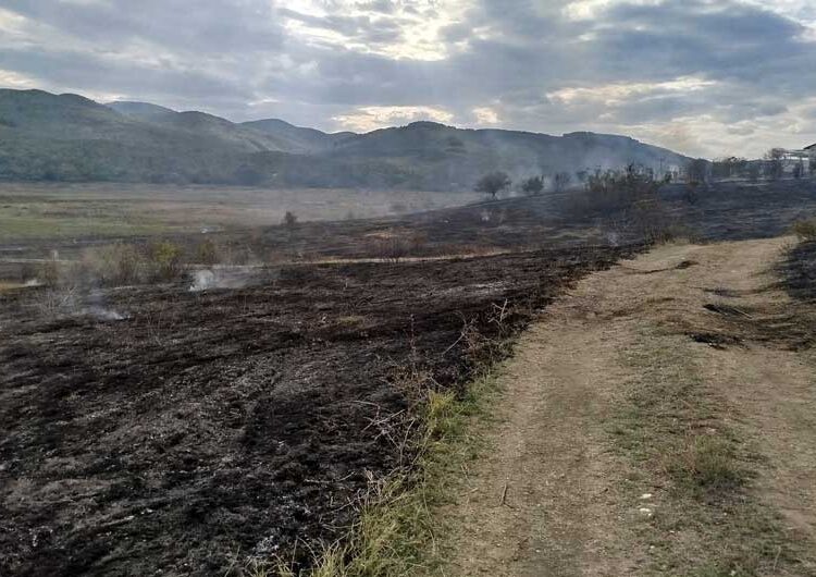 Избувнал пожар кај браната Водоча – спречено е пожарот да зафати и викендици
