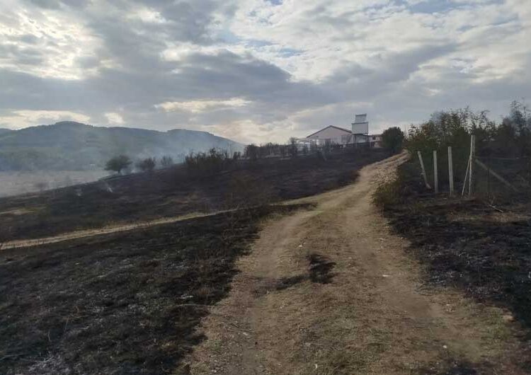 Избувнал пожар кај браната Водоча – спречено е пожарот да зафати и викендици