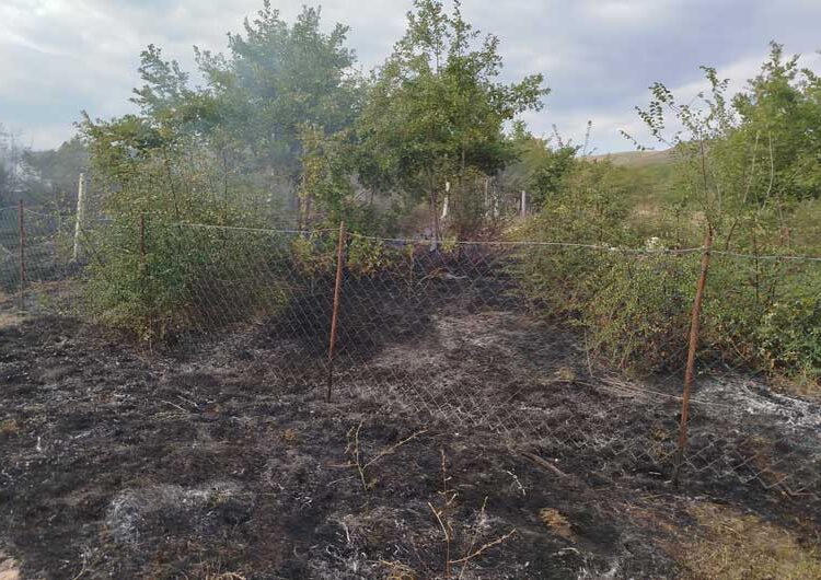 Избувнал пожар кај браната Водоча – спречено е пожарот да зафати и викендици
