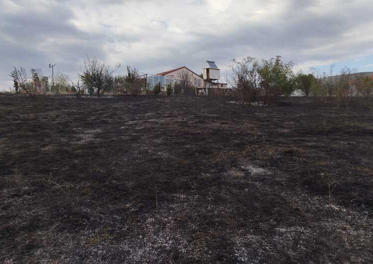 Избувнал пожар кај браната Водоча – спречено е пожарот да зафати и викендици