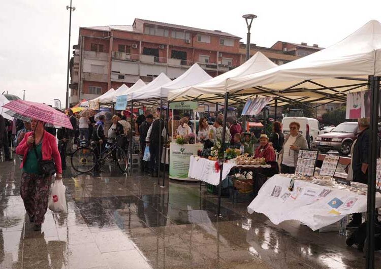 Во Струмица – градот на чушките и френките по четврти пат се одржа манифестацијата „АГРО САЕМ СТРУМИЦА“