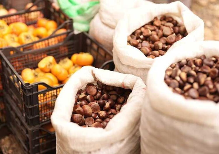 ФОТО: Над Смолари се одржа манифестацијата „Костенијада 2024“ – наоколу мирис на печен костен