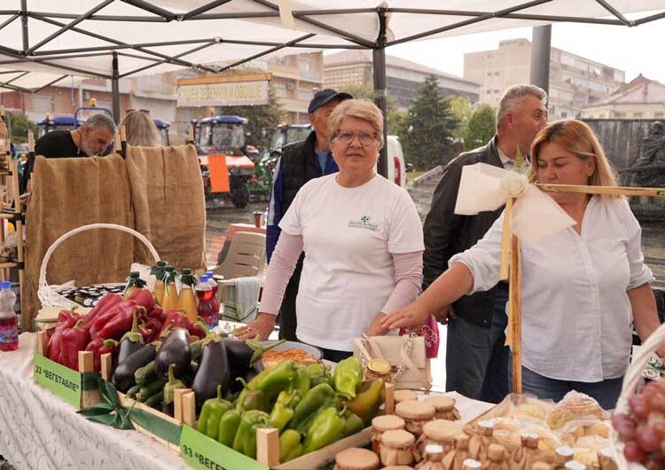 Во Струмица – градот на чушките и френките по четврти пат се одржа манифестацијата „АГРО САЕМ СТРУМИЦА“
