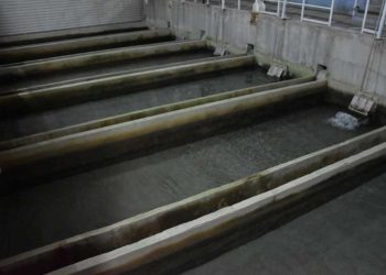 АХВ: Забраната за пиење на водата од струмичкиот водоснабдителен систем останува на сила