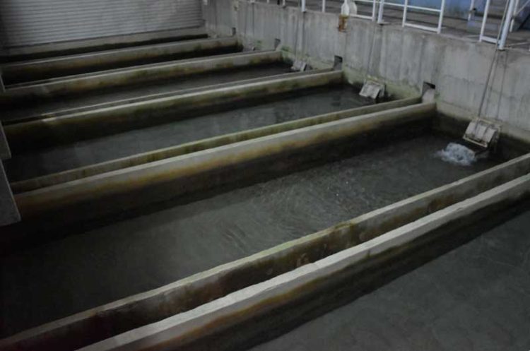 АХВ: Забраната за пиење на водата од струмичкиот водоснабдителен систем останува на сила