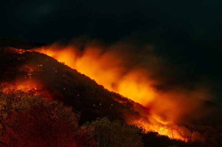 ЦУК Струмица за пожарот на планината Беласица