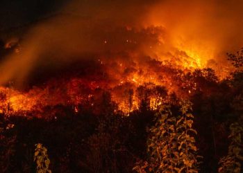 Гори планината Беласица во реонот над селото Смолари