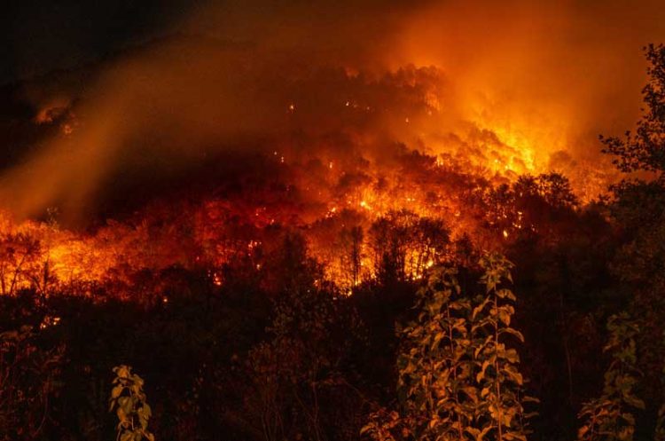 Гори планината Беласица во реонот над селото Смолари