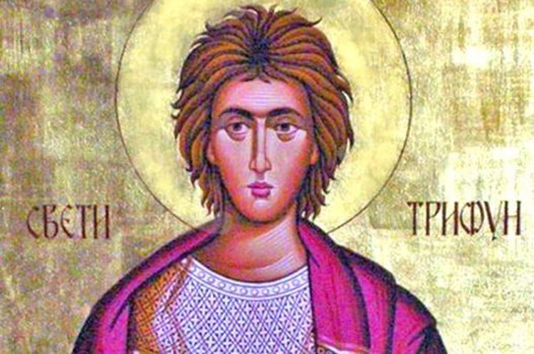 Денеска е Свети маченик Трифун – Заштитник на градинарите и на лозарите