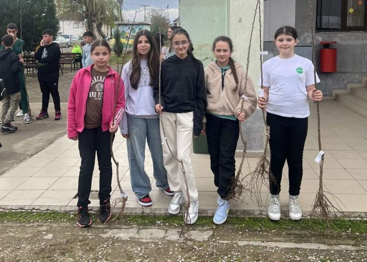 Општина Босилово подели 1500 овошни садници на граѓаните во замена за 1200 килограми пластични шишиња собрани од нив