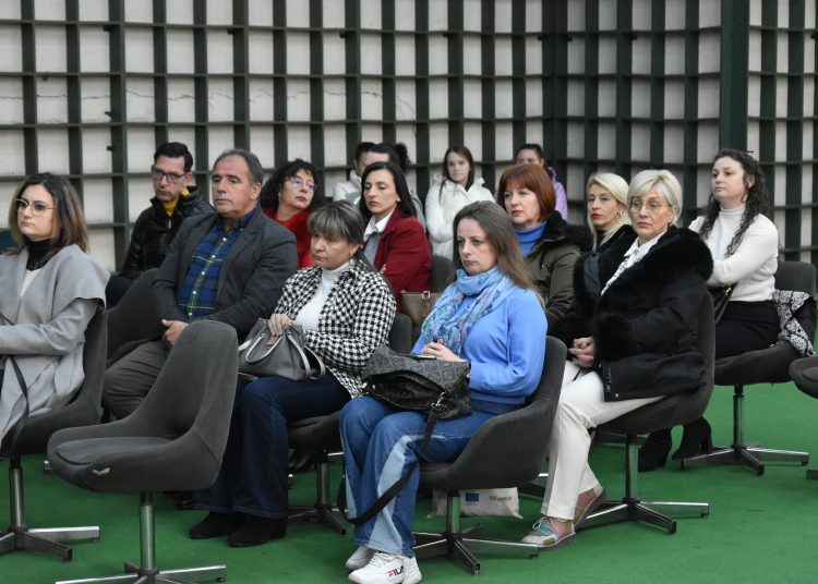 Цицимов: Изненадени сме од јавното обвинување за партизација и уназадување на Струмичкиот карневал