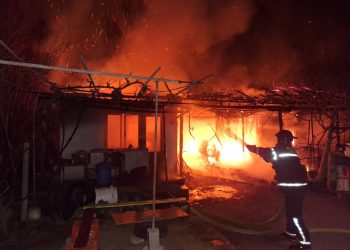 Пожар во Дабиље – гореше плевна