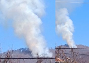 Шумски пожар на Огражден, над Иловица, пожарникарите на терен