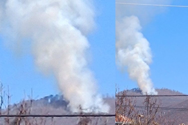 Шумски пожар на Огражден, над Иловица, пожарникарите на терен