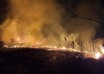 Дури седум интервенции имале денеска струмичките пожарникари – гаселе пожари на отворено