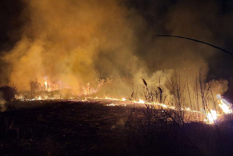 Дури седум интервенции имале денеска струмичките пожарникари – гаселе пожари на отворено
