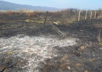 Откриени причините за големиот пожар меѓу Струмица и Баница – ќе се води како кривично дело за кое ќе се лежи затвор