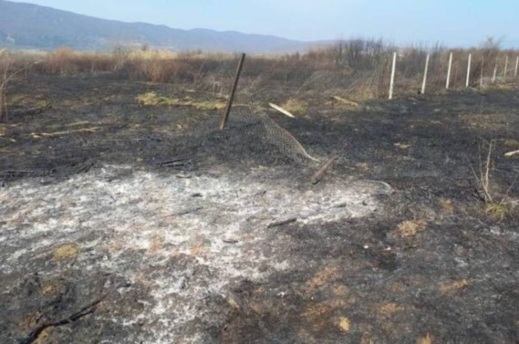 Откриени причините за големиот пожар меѓу Струмица и Баница – ќе се води како кривично дело за кое ќе се лежи затвор