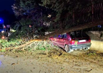Падна дрво врз автомобил паркиран покрај оградата на „монополот“