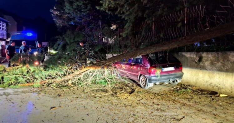 Падна дрво врз автомобил паркиран покрај оградата на „монополот“