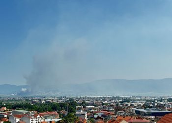 ФОТО: Гори депонијата кај Добрашинци
