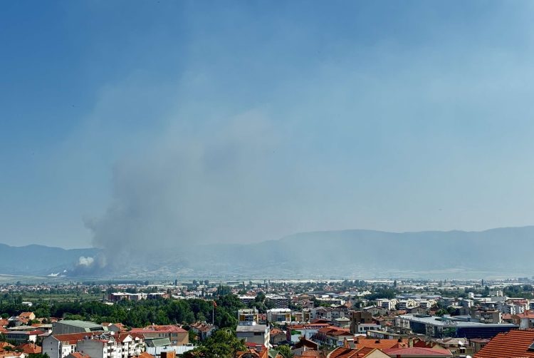ФОТО: Гори депонијата кај Добрашинци