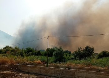 Голем пожар беснее кај градските гробишта во Струмица