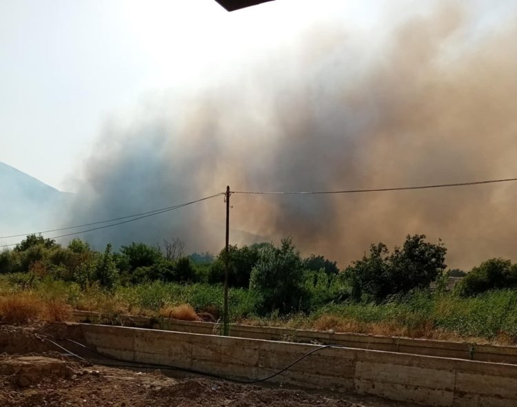 Голем пожар беснее кај градските гробишта во Струмица