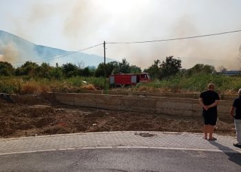 ВИДЕО: Стојанче Ангелов за пожарот кај градските гробишта во Струмица: Нема потреба од паника
