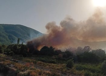 ТППЕ Струмица за пожарот кај градските гробишта