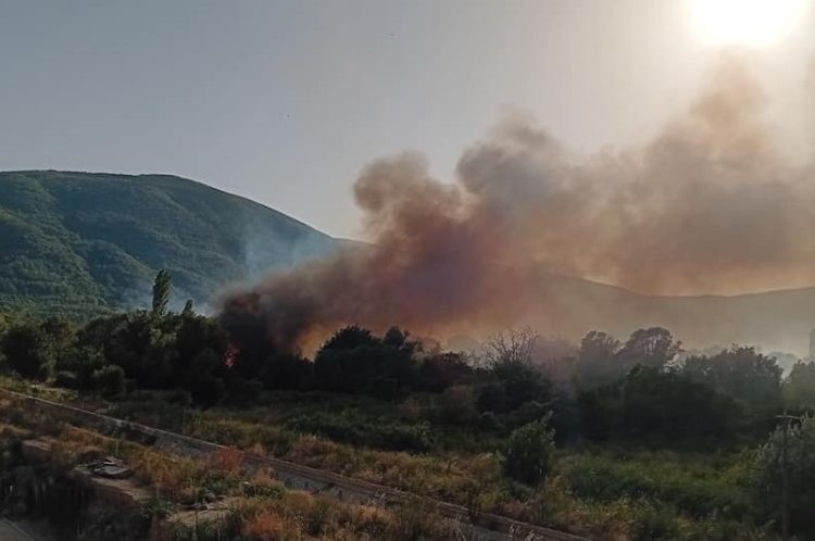 ТППЕ Струмица за пожарот кај градските гробишта