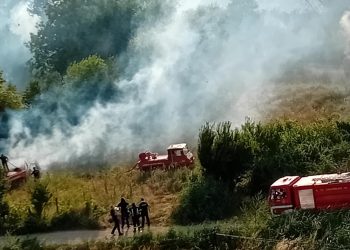 Александар Гудев: Зафатена е поголема површина со оган, изгореа две викендици побарана е помош од Валандово