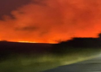 Струмичките пожарникари предупредуваат – пиромани низ околните ридови ги предизвикуваат пожарите