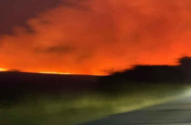 Струмичките пожарникари предупредуваат – пиромани низ околните ридови ги предизвикуваат пожарите