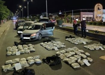 Во вчерашната полициска акција запленети 100 килограми марихуана