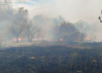 Попладнево избувнал пожар кај Владевци – интервенирале 28 пожарникари со 7 противпожарни возила