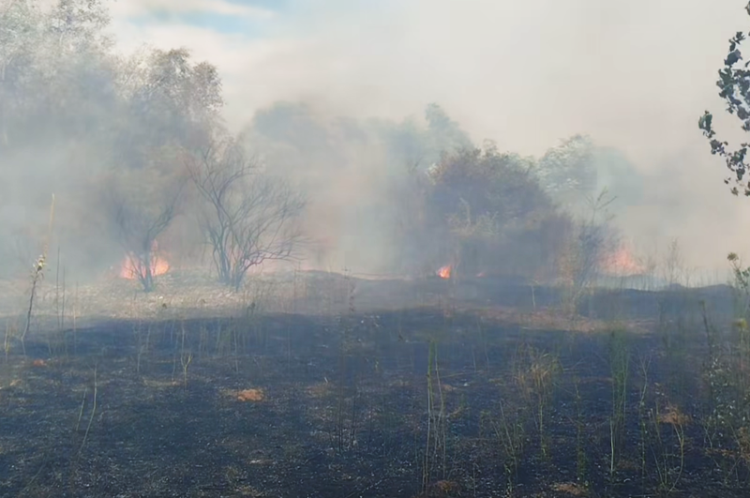 Попладнево избувнал пожар кај Владевци – интервенирале 28 пожарникари со 7 противпожарни возила