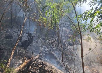 Избувна пожар на планината Беласица – по брзата интервенција пожарот е изгаснат