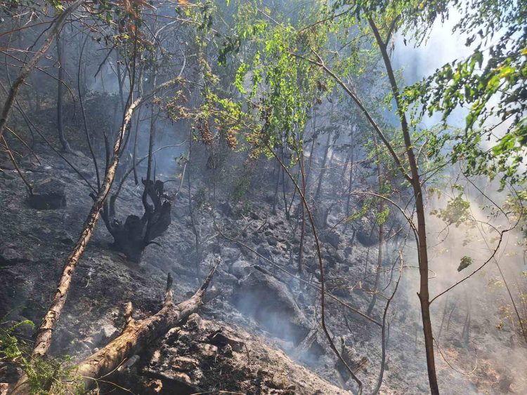 Избувна пожар на планината Беласица – по брзата интервенција пожарот е изгаснат