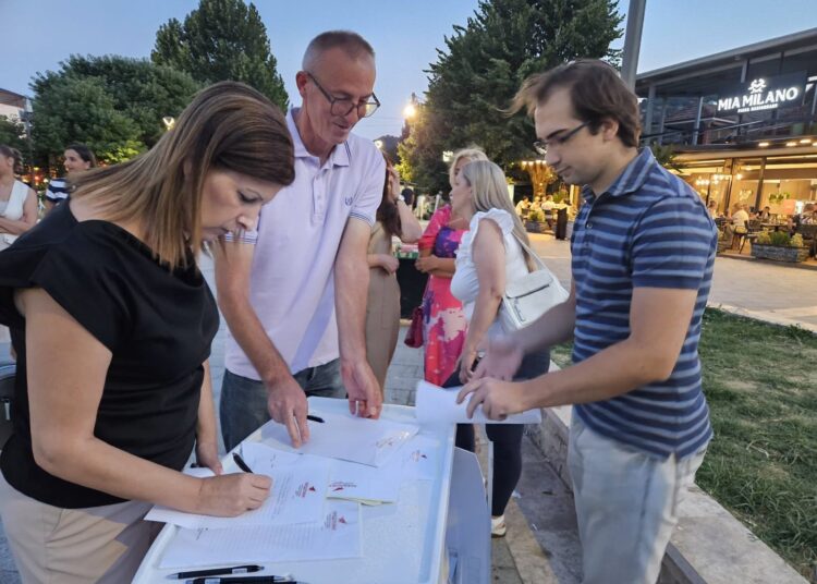 „Предложи! Вистинска идеја за вашата општина“ – ВМРО ДПМНЕ со акција за собирање идеи и предлози од струмичани
