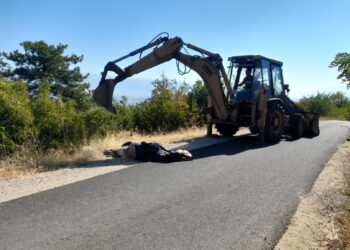 Мртва крава во полураспадната состојба фрлена на патот кон Царевите кули