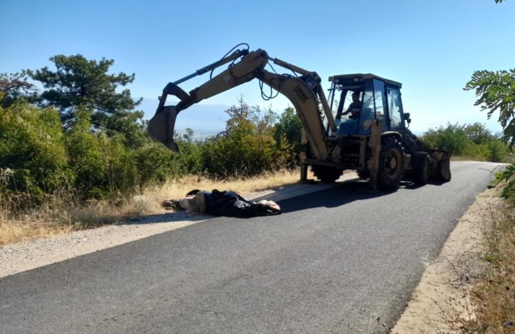 Мртва крава во полураспадната состојба фрлена на патот кон Царевите кули