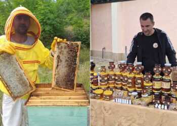 ИПАРД средствата императив и за пчеларите – за Ѓорѓи Делев од Штука кој произведува над 3 тони мед потребна е само поддршка