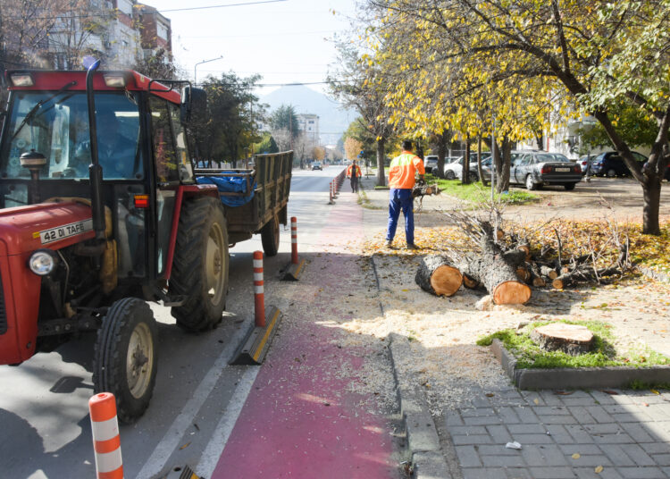 „Комуналец“ започна есенска акција за кроење и обновување на дрворедите во Струмица